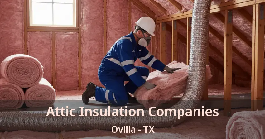 Attic Insulation Companies Ovilla - TX Attic Insulation Companies Ovilla - TX