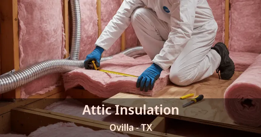 Attic Insulation Ovilla - TX