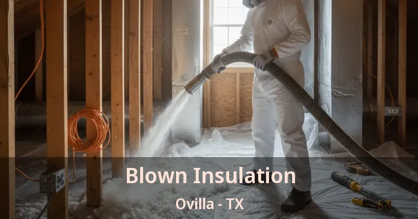 Blown Insulation Ovilla - TX