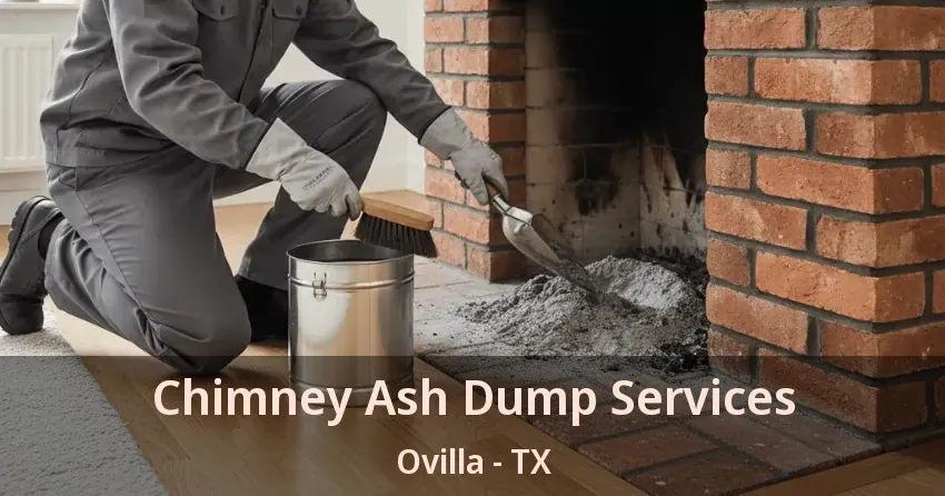 Chimney Ash Dump Services Ovilla - TX