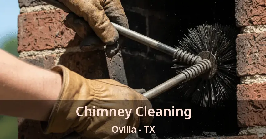 Chimney Cleaning Ovilla - TX