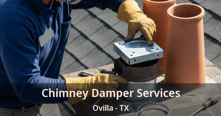 Chimney Damper Services Ovilla - TX
