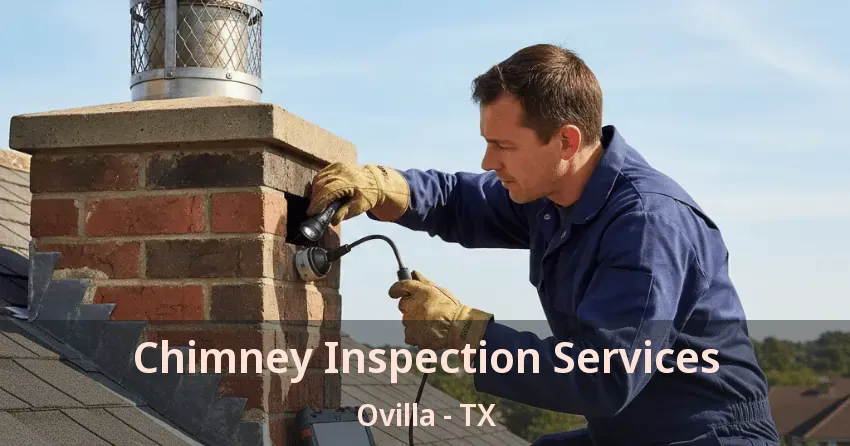 Chimney Inspection Services Ovilla - TX