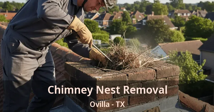 Chimney Nest Removal Ovilla - TX