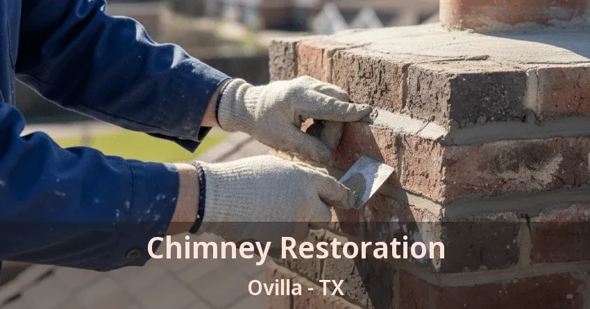 Chimney Restoration Ovilla - TX