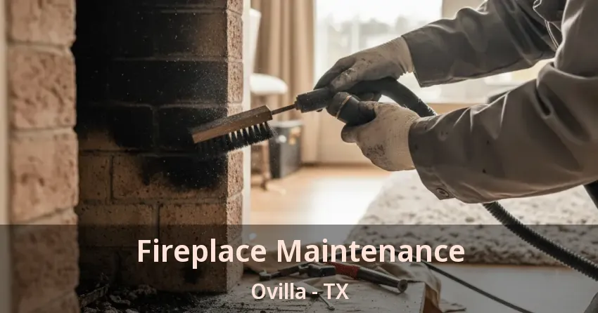 Fireplace Maintenance Ovilla - TX