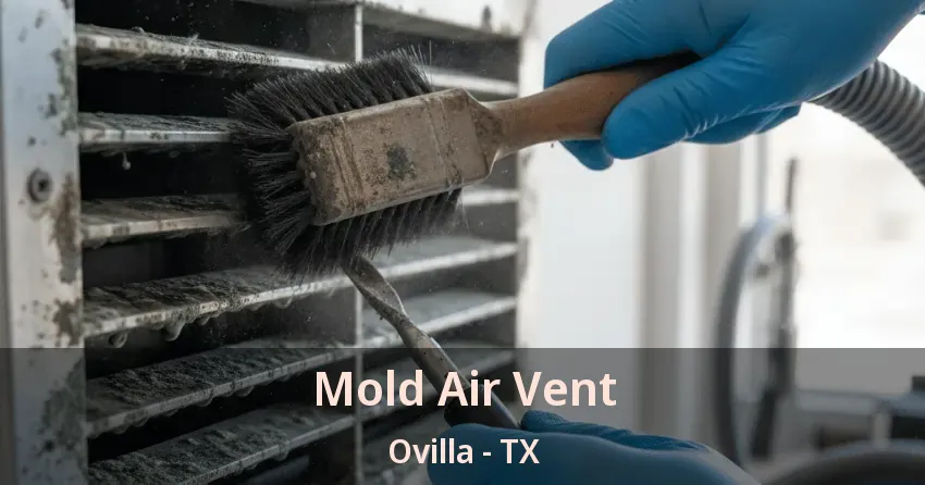 Mold Air Vent Ovilla - TX