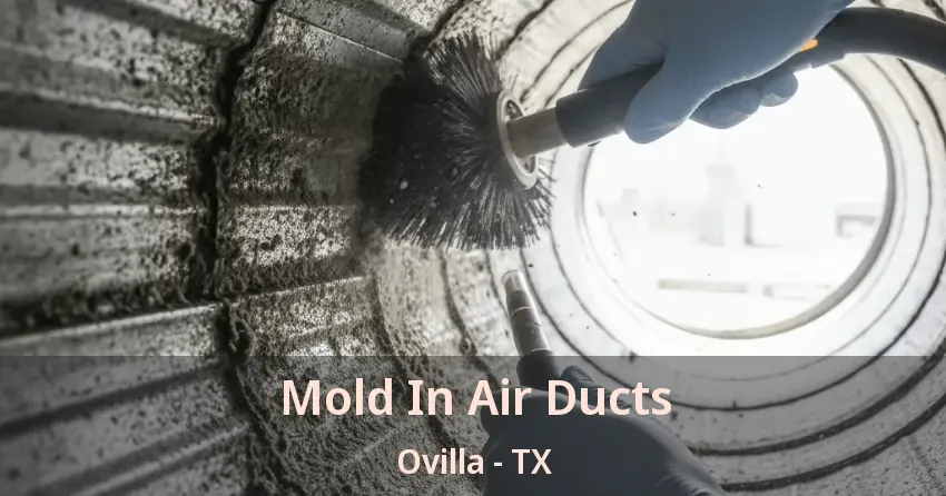 Mold In Air Ducts Ovilla - TX