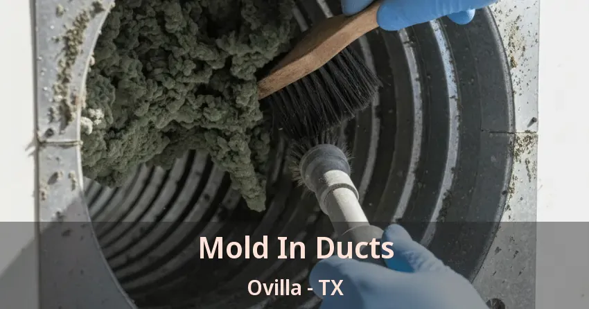 Mold In Ducts Ovilla - TX