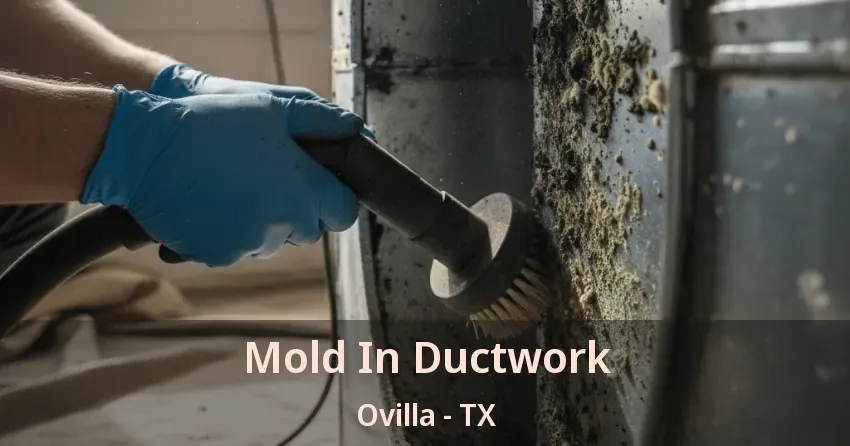 Mold In Ductwork Ovilla - TX