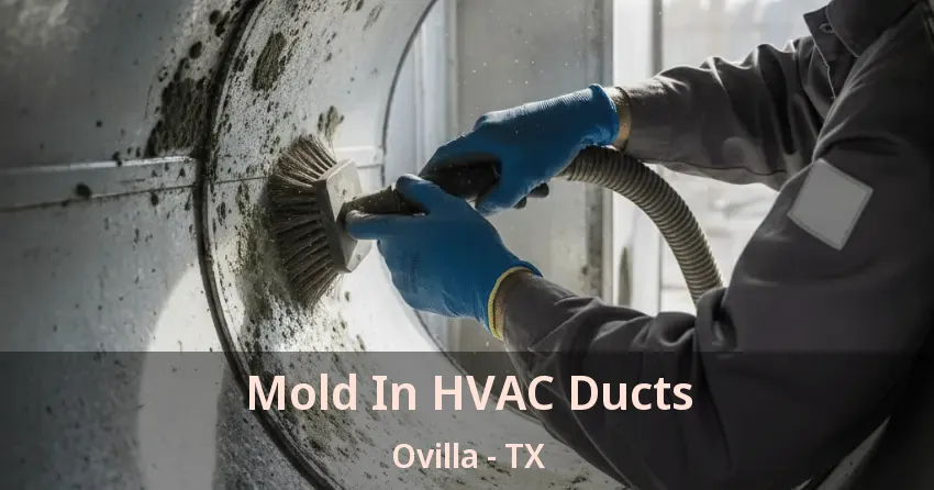 Mold In HVAC Ducts Ovilla - TX Mold In HVAC Ducts Ovilla - TX