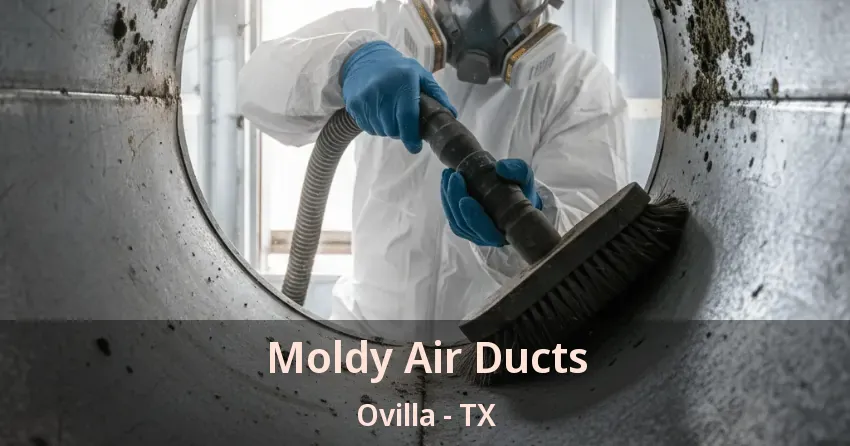 Moldy Air Ducts Ovilla - TX